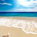 Pintoo Jigsaw Puzzles 500 Piece for Adults - Seashell on The Beach Beautiful Plastic Puzzle for Home Decor Zero Dust Easy Storage [H1335]
