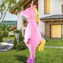 inflatable costumes-1 (Pink)