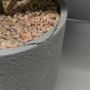 Fake Plants Artificial Tropical Plants Indoor in White Pot for Home Office Desk Accessories Bathroom Sage Green Decor