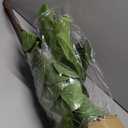 6ft Artificial Fiddle Leaf Fig Tree Plant,Fake Ficus Lyrata in Pot,Ficus Faux Plant Artificial Trees for Office Indoor Outdoor Garden Living Room Home Decor 1PCS-71in