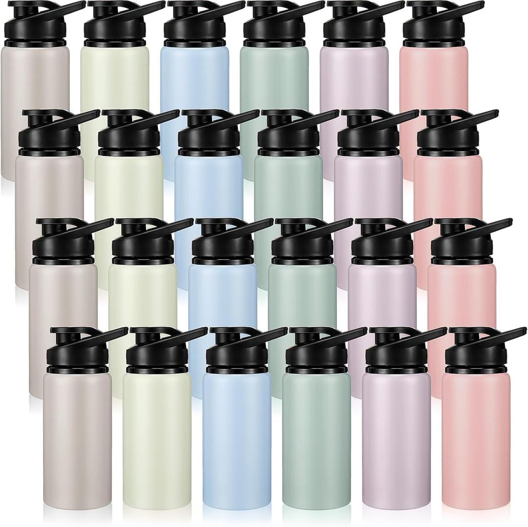 Domensi 24 Pack Aluminum Water Bottle Bulk Reusable Water Bottle, Lightweight Easy Carry Leakproof with Snap Lid Travel Bottles, for Gym Outdoor Sports Cycling Camping Fishing (17oz,Morandi Colors)