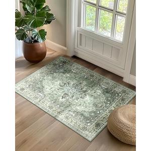 RELEANY Area Rugs 2'x3' Kitchen Rugs Entry Rug Small Rugs for Entryway Kitchen Bathroom Door Mat Indoor Entrance,Washable Non Slip, Dark Green Gray
