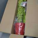 VioraWhite 5ft Whimsical Christmas Tree Large Lime Green Artificial Curved Prelit Xmas Tree with Red Ball and 30 LED Light String for Indoor Outdoor Porch Christmas Decorations