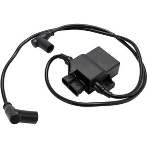 Topteng CDI BOX Igniter Ignition Coil for Polaris Sportsman 700 2002-2004, Sportsman 600 2003-2004, for Taiga 4010364 4010696 4010785 49805420 Model