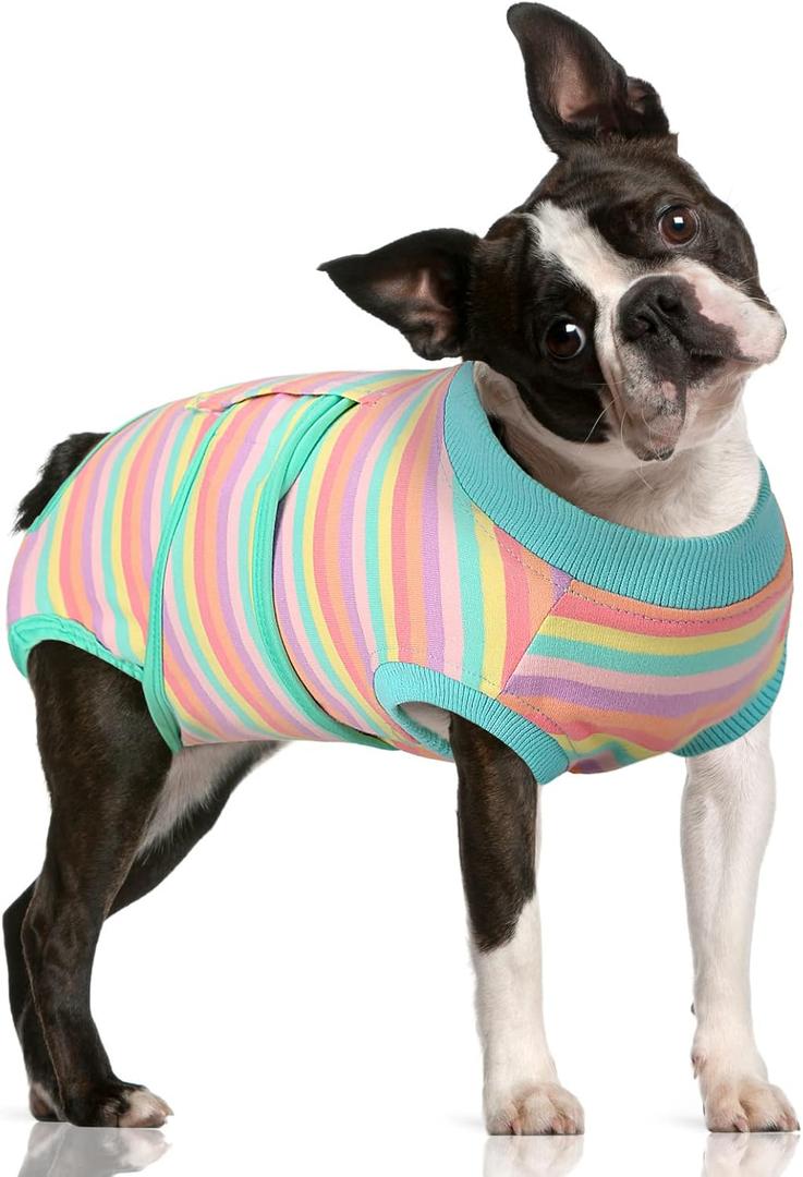 FUAMEY Recovery Suit for Dogs After Surgery,Soft Breathable Dog Bodysuit E-Collar & Cone Alternative Surgical Suit,Male Female Dog Neuter Spay Suits Anti Licking Wounds Onesie Mint Green Stripes, Size L