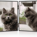 3.5x5 Double Hinged Metal Picture Frame with HD-Tempered Glass, Thin Edge Photo Frames with Delicate Beading Decoration and Soft Velvet Backing for Tabletop and Wall Mount Display, Black