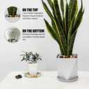 Rocks for Plants 5 Lbs, 0.8-1.5 Inch High Polished Pebbels, Decorative Stones for Garden Landscaping, Smooth Gravel Filler for Outdoor Plants, Succulents, Fish Tank and Vases (colored)