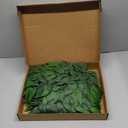 FUNORNAM 60Pcs Italian Ruscus Greenery Stems Artificial Silk Greenery Leaves for DIY Wedding Arch Bouquet Filler Table Centerpieces Home Indoor Decor