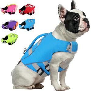 Queenmore Small Dog Life Jacket, Dog Life Vest for Swimming Boating, Puppy Life Jackets for Small Dogs, Ripstop Pet Life Vests with Rescue Handle Leash Hole, Safety Water Floating Vest, Hi-Vis Blue, S