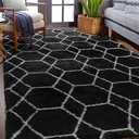 ONASAR Area Rugs for Bedroom Living Room, Fluffy 4x6 Black and White Rug, Geometric Shaggy Plush Bedside Indoor Floor Carpet for Nursery Kids Teens Girls Boys Dorm Home Office Decor