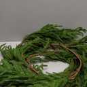 WBHome 9ft Real Touch Norfolk Pine Christmas Garland, Winter Greenery Garland for Christmas, Holiday Seasonal Outdoor/Indoor Home Decor, 9FT Long