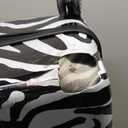 Rockland Safari Hardside Spinner Wheel Luggage, Zebra, Carry-On 20-Inch