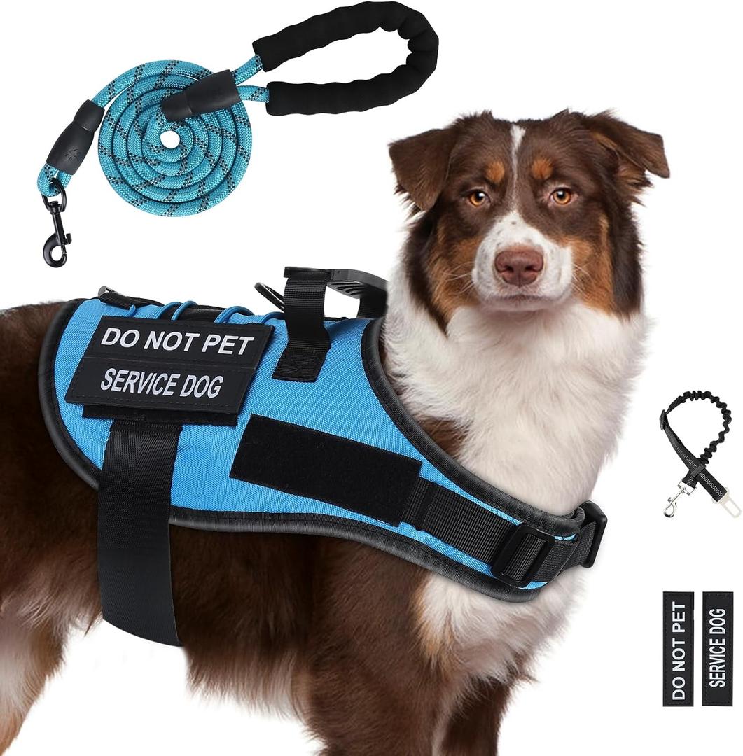 No Pull Dog Harness for  Sized Dogs, Service Dog Harness and Leash Set with 4 Patches, Adjustable Easy Walk Dogs Harnesses with Handle, Dogs Vest Harnesses for Training (Blue, XL)