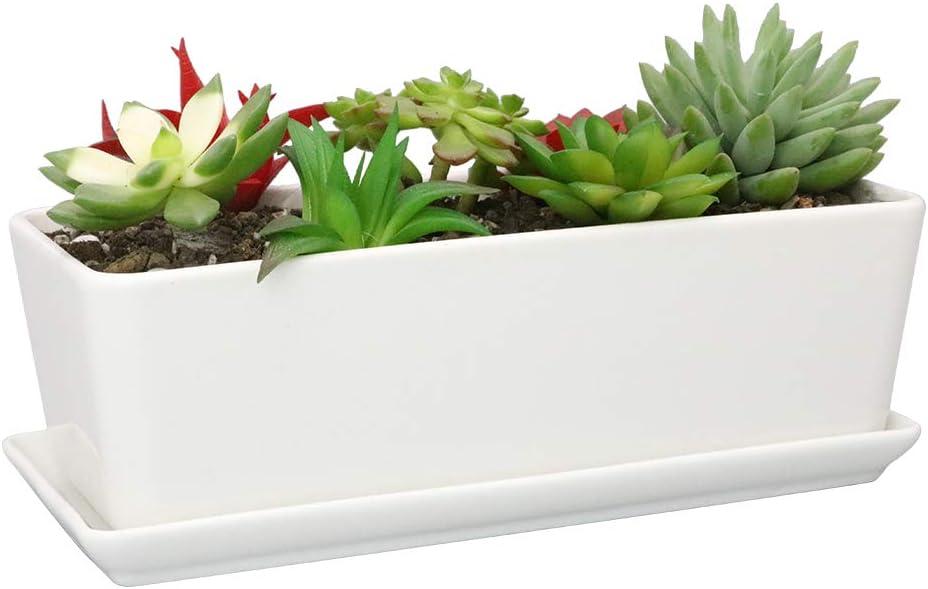 SQOWL 10 Inch Rectangular White Ceramic Succulent Planter Pot Modern Flower Cactus Herb Big Planter with Removable Saucer Indoor or Outdoor