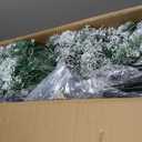 National Tree Company 6 ft Pre-Lit Flocked Acacia Slim Artificial Christmas Tree, 250 Clear Lights, 512 Tips, Includes Stand, Green