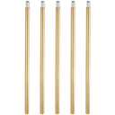 PATIKIL Threaded Extension Rod, 5 Sets 11.8" M10 x 1mm Fine Thread Lamp Pipe with Lamp Pipe Nipples for Pendant Light Island Lighting Chandeliers Stems, Brass Tone