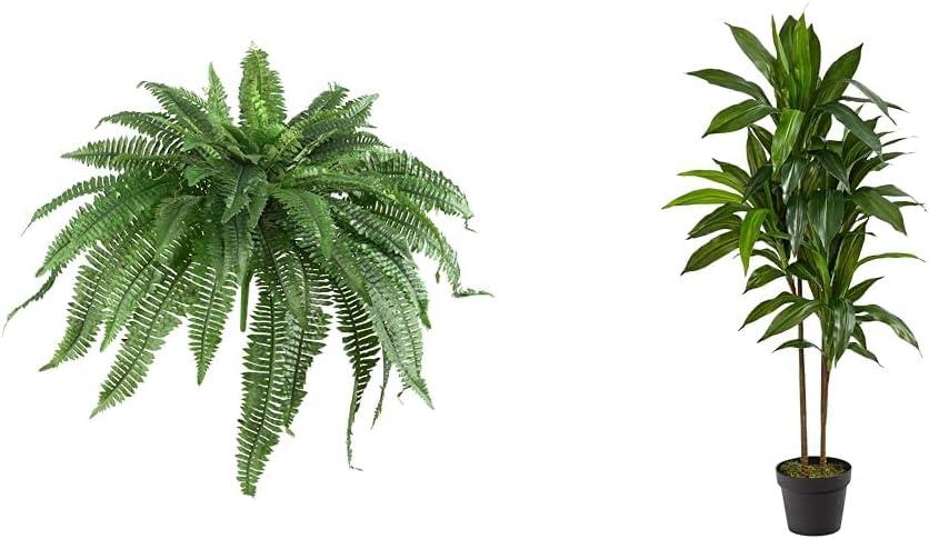 Nearly Natural 48IN Set of 2 Artificial Boston Ferns & 4ft Dracaena Plant with Real Touch Leaves for Home Dcor