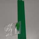 Disposable Tumbler Straws - 10 Inches Tall (Green)