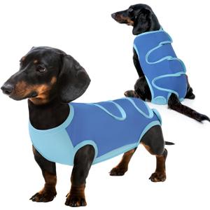 Queenmore Large Recovery Suit for Dogs After Surgery Blue,L Professional Pet Recovery Shirt Dog Abdominal Wounds Bandages, Adjustable Pet Surgery Recovery Suit