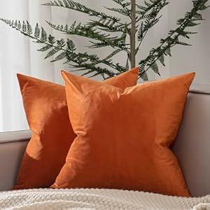 JUSPURBET Throw Pillow Covers 20x20 inch Set of 2 Decorative Velvet Pillow Covers for Couch Sofa Bed Soft Cushion Covers Cases with Invisible Zipper for Living Room Home Decor