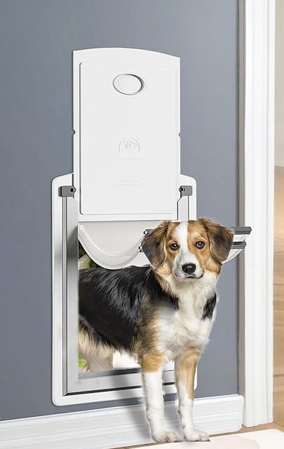 Steel Dog Door for Wall, white, 11.5"-17"