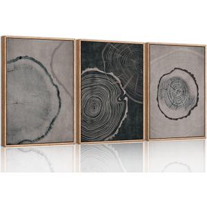 Ausril Tree Ring Framed Canvas Wall Art Set of 3, Modern Beige Wood Stump Wall Decor, Black and Gray Tree Spiral Wall Painting, Neutral Nature Art Print for Living Room, Bedroom, Office - 36"x24"