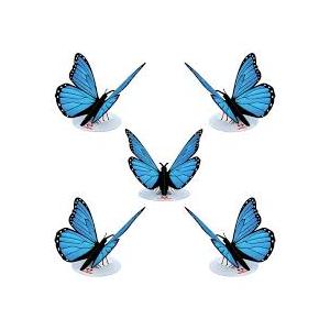 Stickerking Butterfly 5 pcs