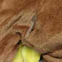 nezababycos Adult Turkey Onesie Costume Turkey Pajamas Outfit Funny Animal Suit for Women Men Thanksgiving Halloween Size L