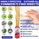 Fly Strips Indoor Sticky Hanging 24pk with Pins. Non Toxic Outdoor Fly Trap Indoor for Home. Flies Tape Paper Trap Ribbon Roll for House Gnat Fruit and Housefly. Bug Catchers for Inside Home Flypaper.