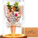 Sister Gifts-Bell Jar Night Lights with Warm Lights for Sisters,Unique Gifts for Sister Gift Ideas for Birthday Christmas Valentines Day Mothers Day,Fake Flower Glass Cloche Bell Jar with Wooden Base