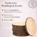 Set of (10) Medium 9-11" Wood Slices for Centerpieces! Wedding and Baby Shower centerpieces (Set of 10 Medium (9-11"))