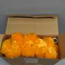 Day of The Dead Marigold Arch Kit Includes 25 ft Artificial Marigold Flowers Garland 12ft Table Balloon Arch Kit with 25 Clips and 12 Pcs 3D Butterfly for Dia de Los Muertos Altar