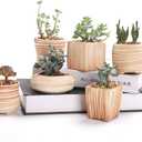 Sun-E 6 in Set 7.6 cm Ceramic Wooden Pattern Succulent Plant Pot Cactus Plant Pot Flower Pot Container Planter Gift Idea
