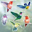 12 Pcs Hummingbird Screen Door Magnets Decorative Double Sided Screen Magnets Flexible Screen Door Stickers for Screen Sliding Doors Keeps Pet People Safe