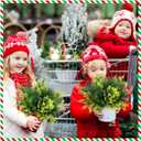 Suncalla 24 Pcs Christmas Artificial Cedar Plant Flower Outdoor 15" Winter Faux Evergreen Plants Christmas Window Box Filler Fake Greenery Pine Branches Stems for Home Garden Path Decorations
