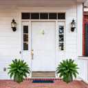 Senjie Artificial Boston Fern 2 Set 55 Branches Fake Ferns for Outdoors 32Inch Faux Plant for Home Living Room Office Decor