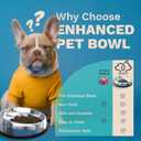 Enhanced Pet Bowl – Slanted Stainless Steel Dog Bowl for Breeds Like Bulldogs, Pugs – Raised Back, No-Spill, Reduces Gas & Mess – Medium Size, Non-Slip, Food-Grade - Does Not Ship from China