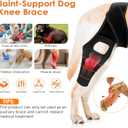 Jorme Dog Knee Brace for Torn ACL Hind Leg, Breathable Neoprene Dog Leg Brace with Adjustable Velcro & Belly Band, Ideal for Arthritis, Luxating Patella & Post-Surgery Recovery (L)