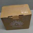 2025 Latest Release Halloween Inflatables Ghost Outdoor Decorations 5FT Ghost Pumpkin Inflatable with Build-in 2 LED Ghost Blow Up Yard Decoration Cute Ghost Blowup Decor for Party Garden Lawn