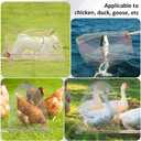Chicken Catching Net Set 2 Nets with Adjustable 74 Inch Pole, Lightweight Bird & Animal Catcher for Chickens, Ducks, Geese, Fish, Cats Heavy-Duty Nylon Net with Stainless Steel Frame