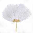 1920s Vintage Ostrich Feather Hand Fan, Handmade Retro Costume Accessory for Halloween, Ballroom Parties, Bridal Looks & Stage Performances(White)