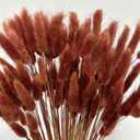 120pcs Bunny Tails Grass Burnt Orange Dried Flowers Plant Boho Pampas Grass 17 inch for Home Decor Wedding Bouquet Natural Flower Arrangements (Caramel)
