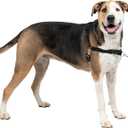 PetSafe Easy Walk No-Pull Dog Harness - The Ultimate Harness to Help Stop Pulling - Take Control & Teach Better Leash Manners - Helps Prevent Pets Pulling on Walks, X-Large, Black/Silver