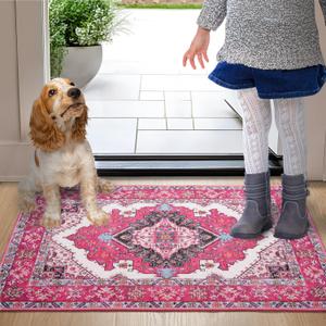 Noahas Front Door Mat Indoor Outdoor Entrance,2x3 Small Hot Pink Area Rugs Vintage Machine Washable Rugs Non-Slip Low Pile Carpets for Entryway Porch Bathroom Kitchen Bedroom Laundry Room Home Decor (2' x 3')