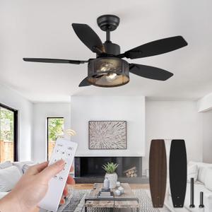 Fanbulous Farmhouse Ceiling Fans with Lights and Remote, 42 Inch Industrial Black Caged Ceiling Fans for Living Room Bedroom Kitchen, 6 Speed Reversible Quiet DC Motor, Dual Finish 5 Blades