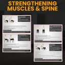 Senior Exercise 30-Day Chair Yoga Workout Program for Seniors, Gentle Stretching and Strength Workout Guide with Daily Routines