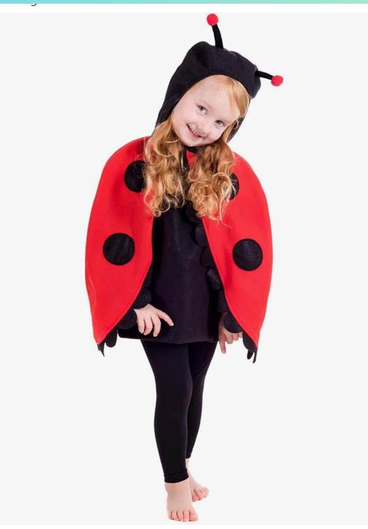 fun shack Ladybug Costume Toddler with Wings, Lady Bug Costume Baby, Lady Bug Costume Toddler, Lady Bug Toddler Costume Size 3-4 Years