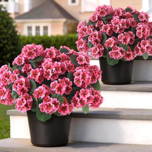 2 Pack Artificial Geranium Flowers Topitary Trees for Outdoors, UV Resistant Geraniums Potted Bushes Look Real Silk Faux Plants for Front Door Garden Porch Planter Farmhouse Home Decor (Peach Red)