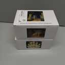 2 x Christmas Lights 34FT Outdoor Waterproof Decoration String Lights 100 Count Warm White for Wedding Outdoor Indoor Xmas Party Christmas Tree Bushes (1, 34ft)