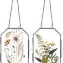Qunclay Mothers Day Gift for Mom - 2 Pack Pressed Floating Flower Frame, Double Glass Wall Hanging Frame with Chain for Dried Flowers, Botanical Art, DIY Craft, Gift for Women(Black,5 x 7 Inch)